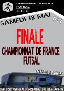 Finale Championnat de France futsal 2012-2013 affiche Sporting Paris - FC Erdre